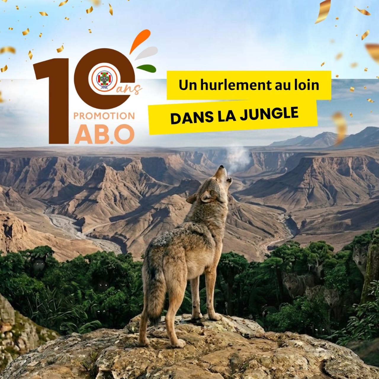 Image de 10 PROMO ABO